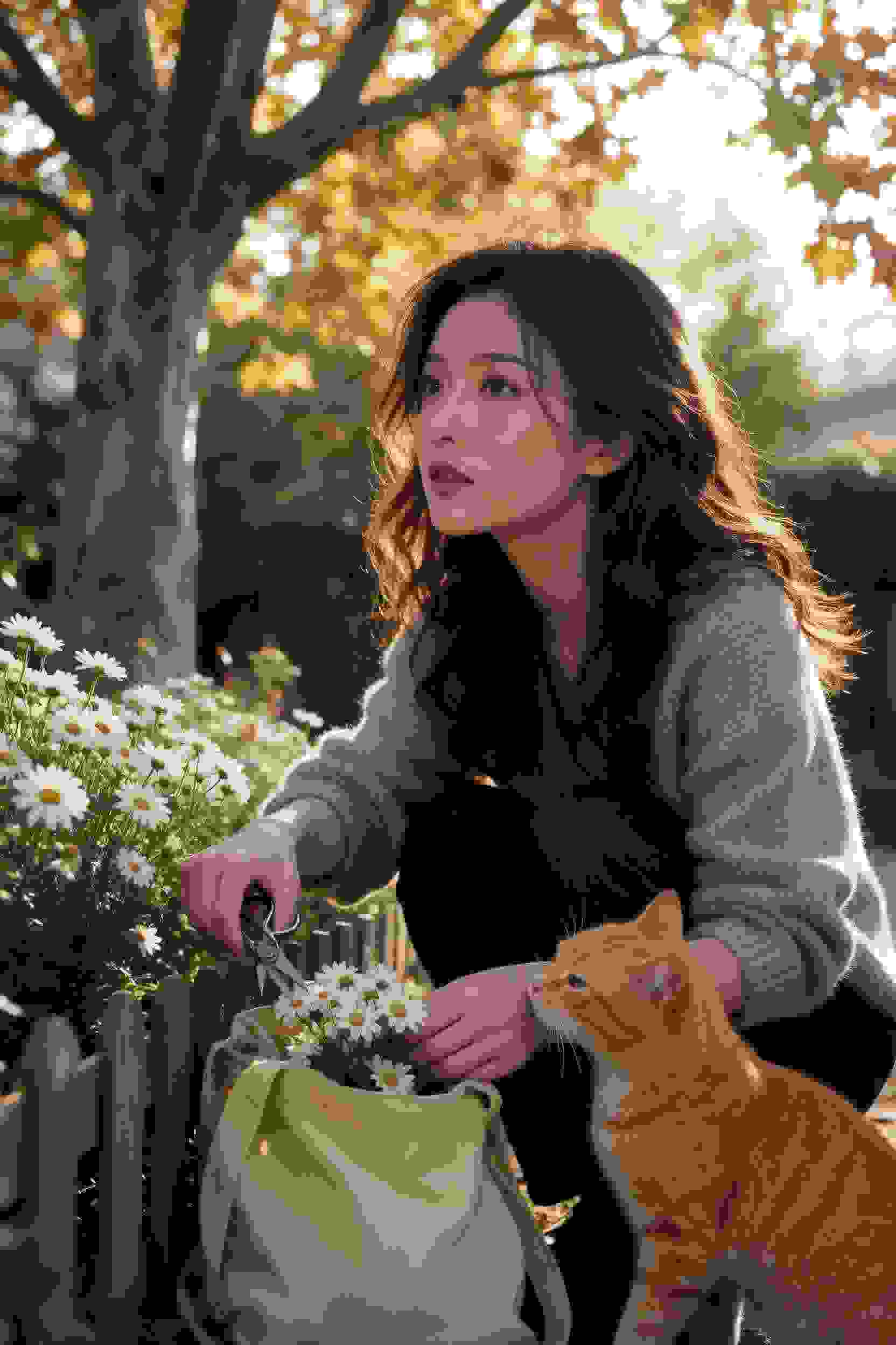 怪物猎人